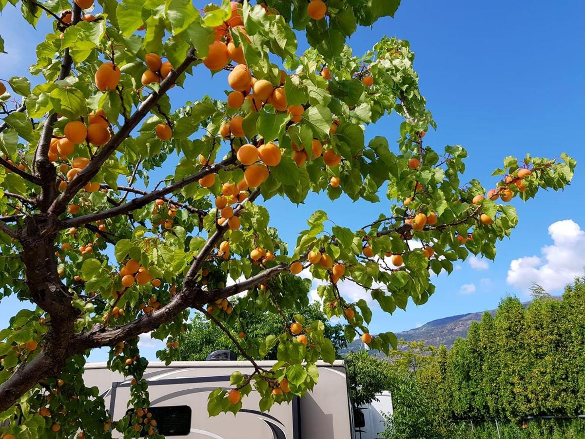 The Orchard At Oliver Hotel Buitenkant foto