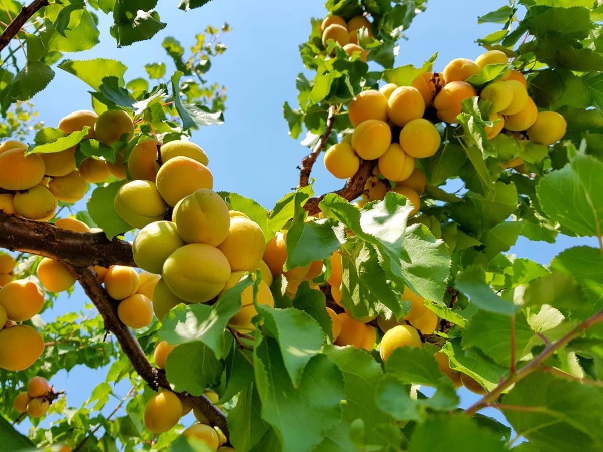 The Orchard At Oliver Hotel Buitenkant foto