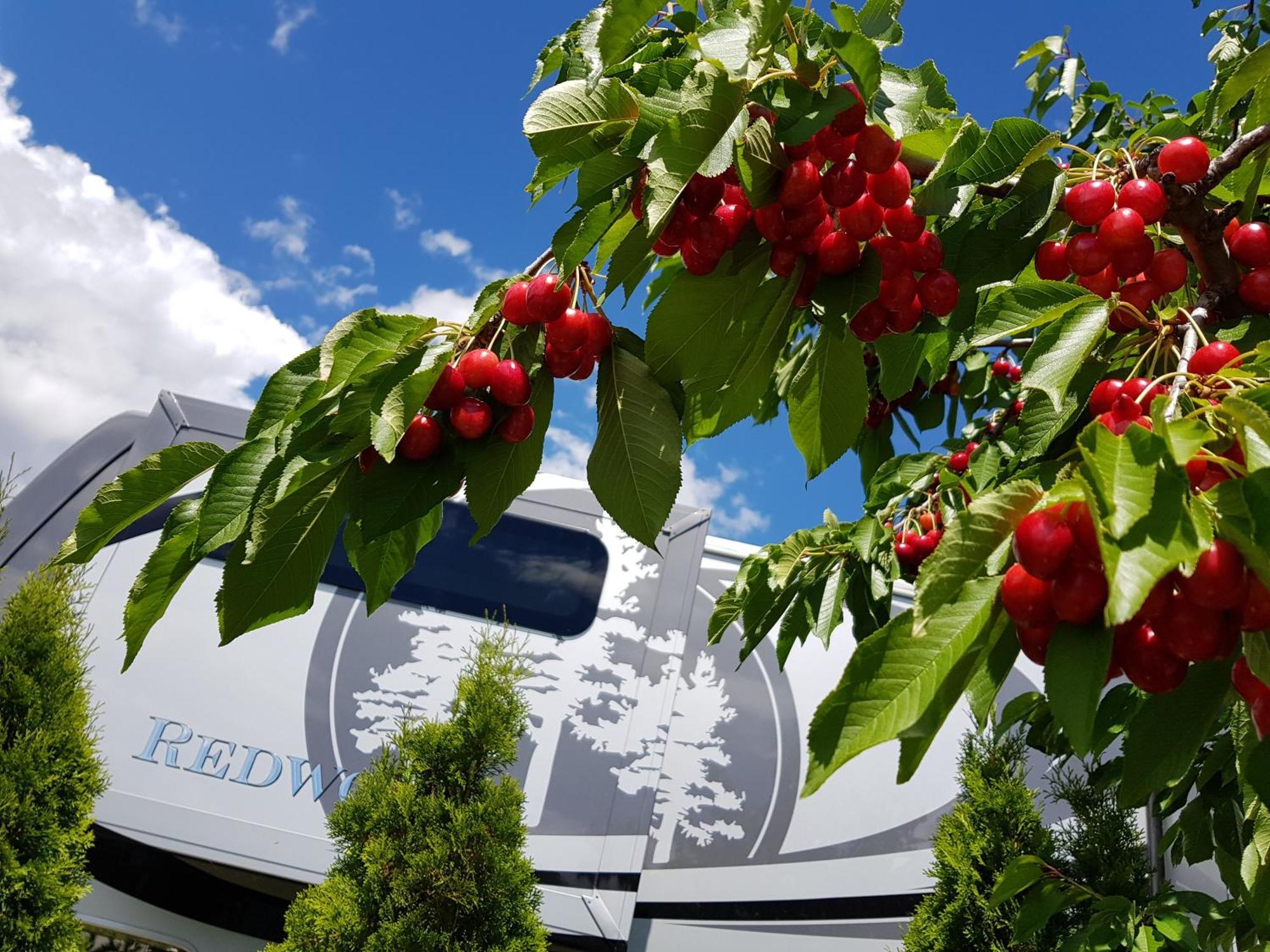 The Orchard At Oliver Hotel Buitenkant foto